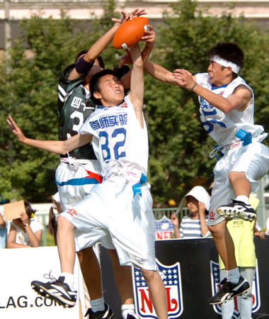 乔纳森斯目 乔纳森斯目